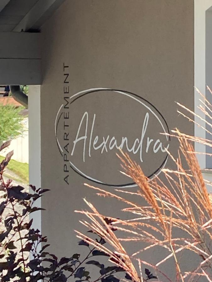 Appartement Alexandra Neukirchen am Großvenediger Zewnętrze zdjęcie