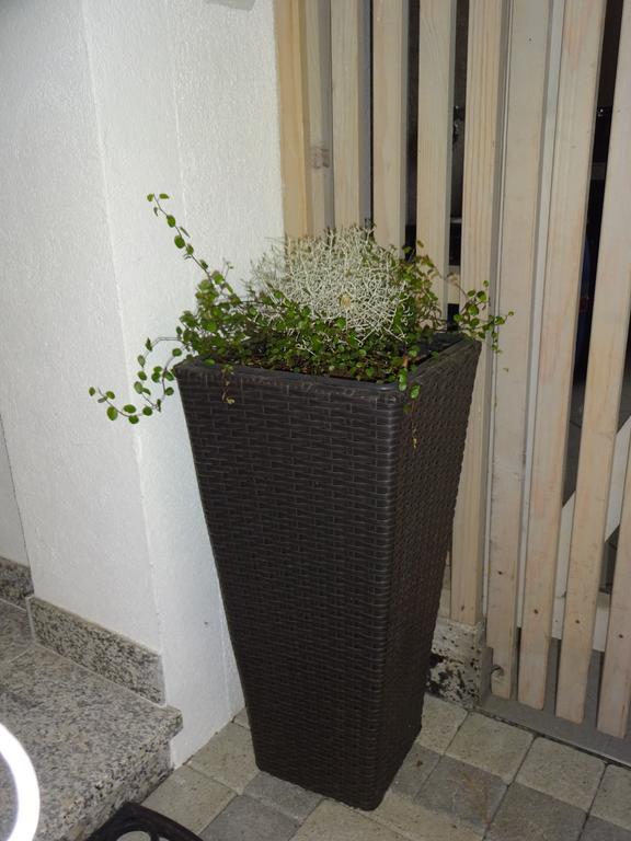 Appartement Alexandra Neukirchen am Großvenediger Pokój zdjęcie